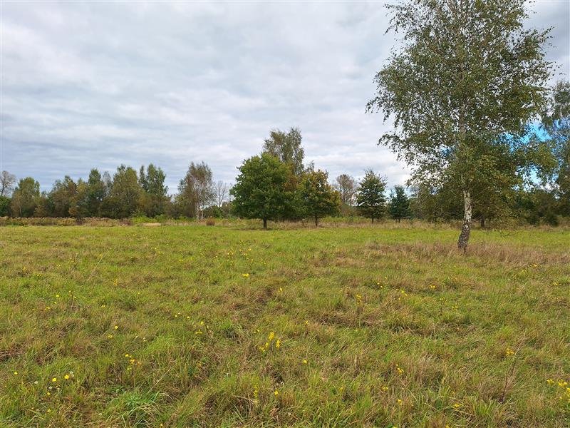 Działka 585 m² pod dom jednorodzinny, las, spokojna okolica Warszkowo, Kolonia  585m2 Foto 1