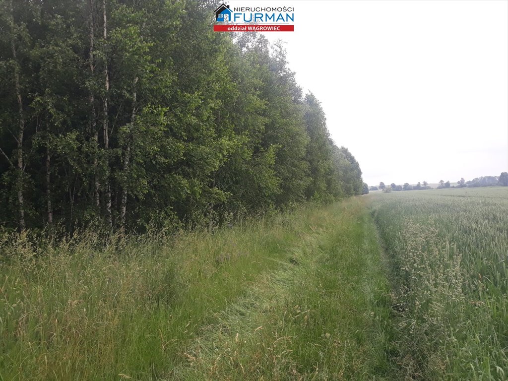 Działka budowlana na sprzedaż Skoki  3 101m2 Foto 4