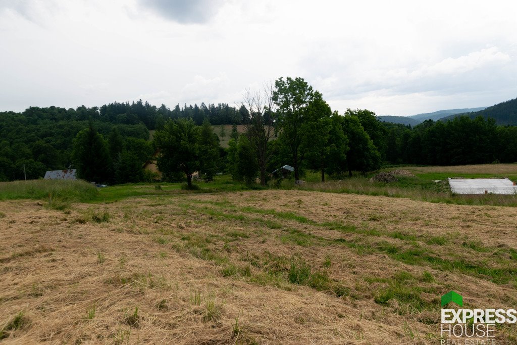 Działka budowlana na sprzedaż Stronie Śląskie, Polna  2 617m2 Foto 9