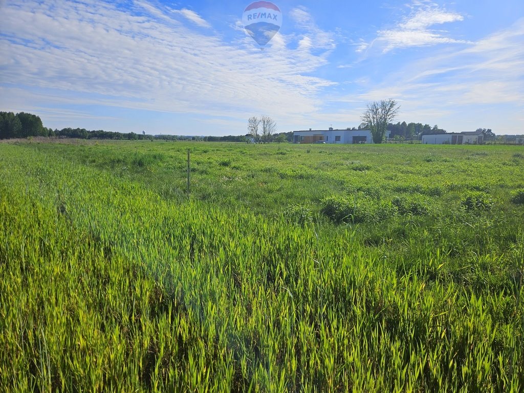 Działka budowlana na sprzedaż Zendek, ks. Antoniego Śliwy  2 827m2 Foto 3