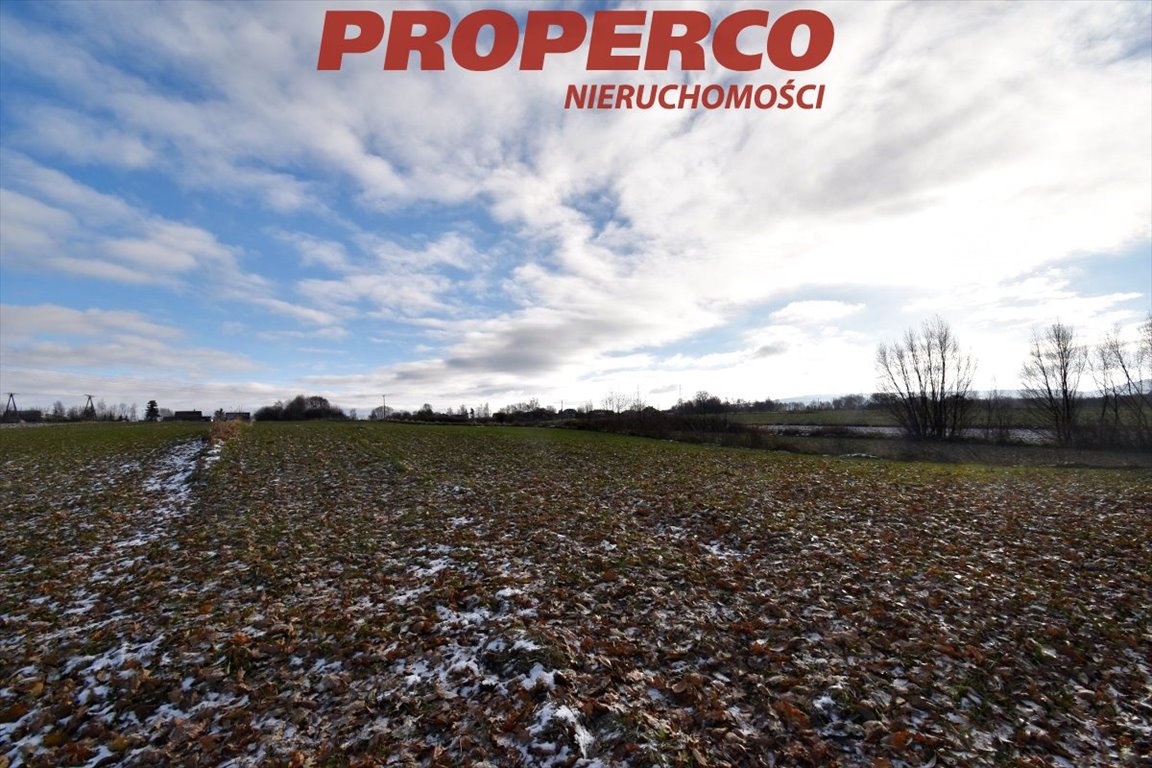 Działka 6000 m² z widokiem na Łysicę, asfalt, media Stara Słupia  6 000m2 Foto 1