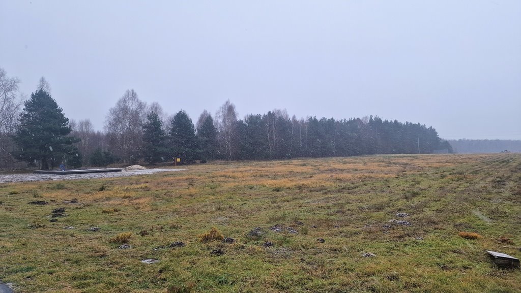 Działka budowlana na sprzedaż Smyków, Prosta  19 000m2 Foto 13