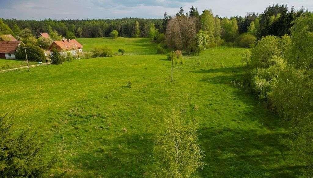 Działka rolna na sprzedaż Jakubowo  3 500m2 Foto 11