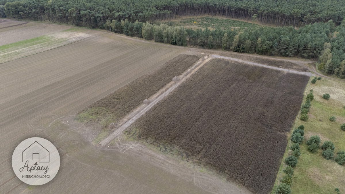 Działka budowlana na sprzedaż Biernatki, Władysława Dylewskiego  933m2 Foto 7