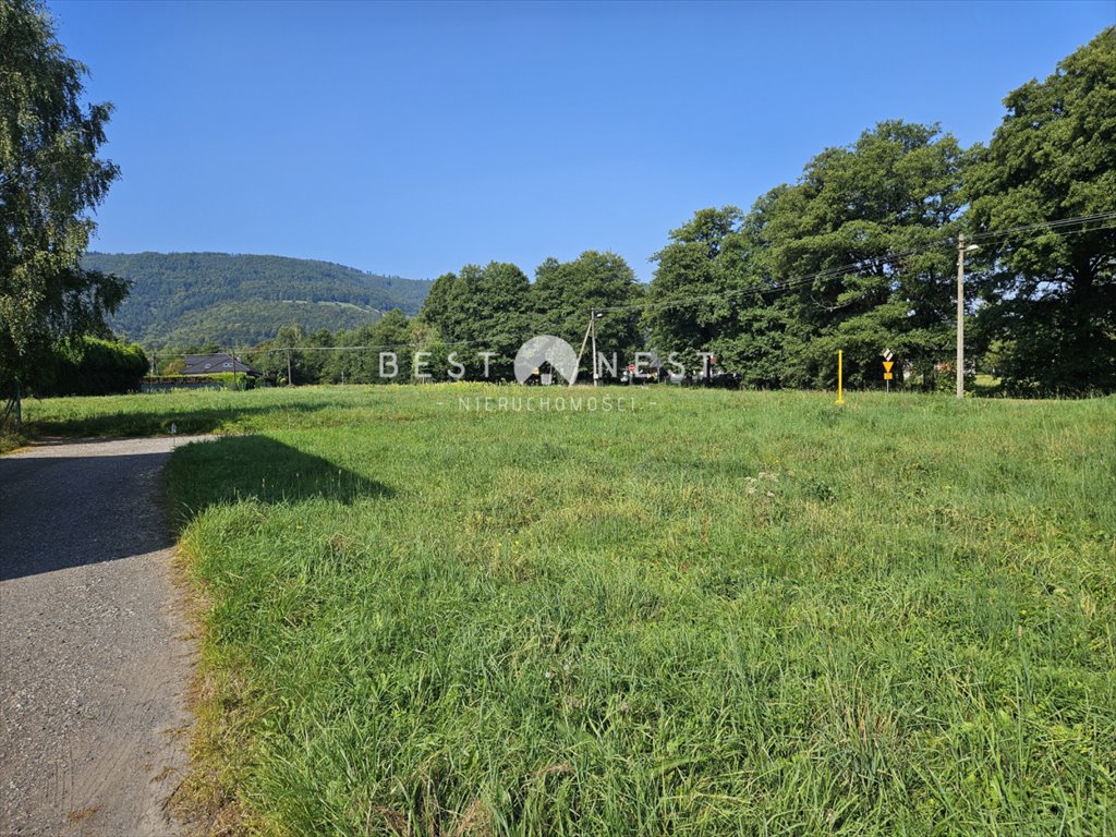 Działka budowlana na sprzedaż Buczkowice, Bór  1 683m2 Foto 1