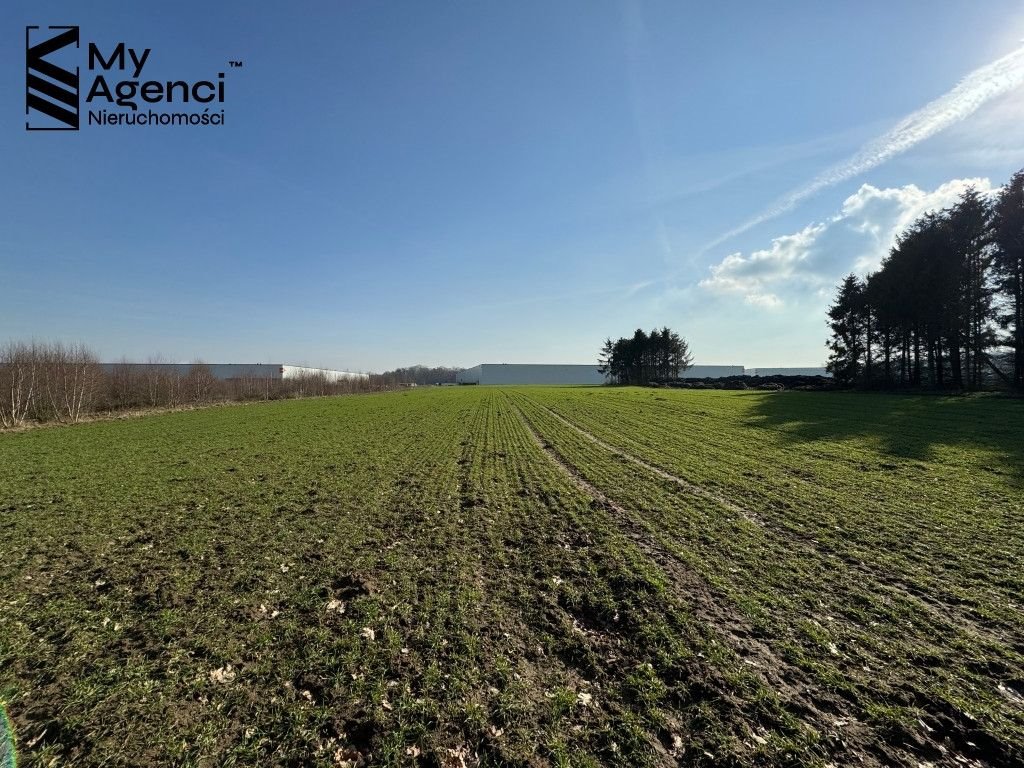 Działka przemysłowo-handlowa na sprzedaż Gdańsk, Kokoszki, Bysewska  19 493m2 Foto 6