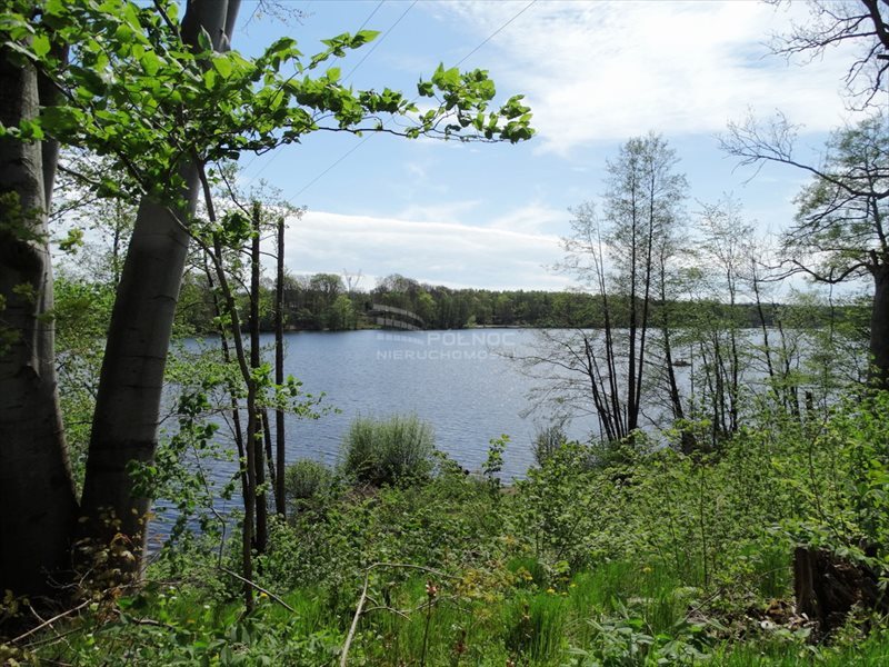 Działka budowlana na sprzedaż Łapino Kartuskie 734m2 Foto 1 Działka budowlana na sprzedaż Łapino Kartuskie 734m2 Foto 1