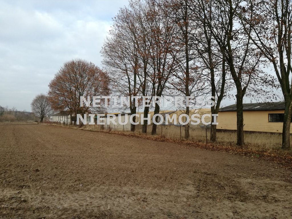 Działka 5051 m² z dostępem do asfaltu i blisko S17 Puławy, Żyrzyn, Kośmin  5 051m2 Foto 1