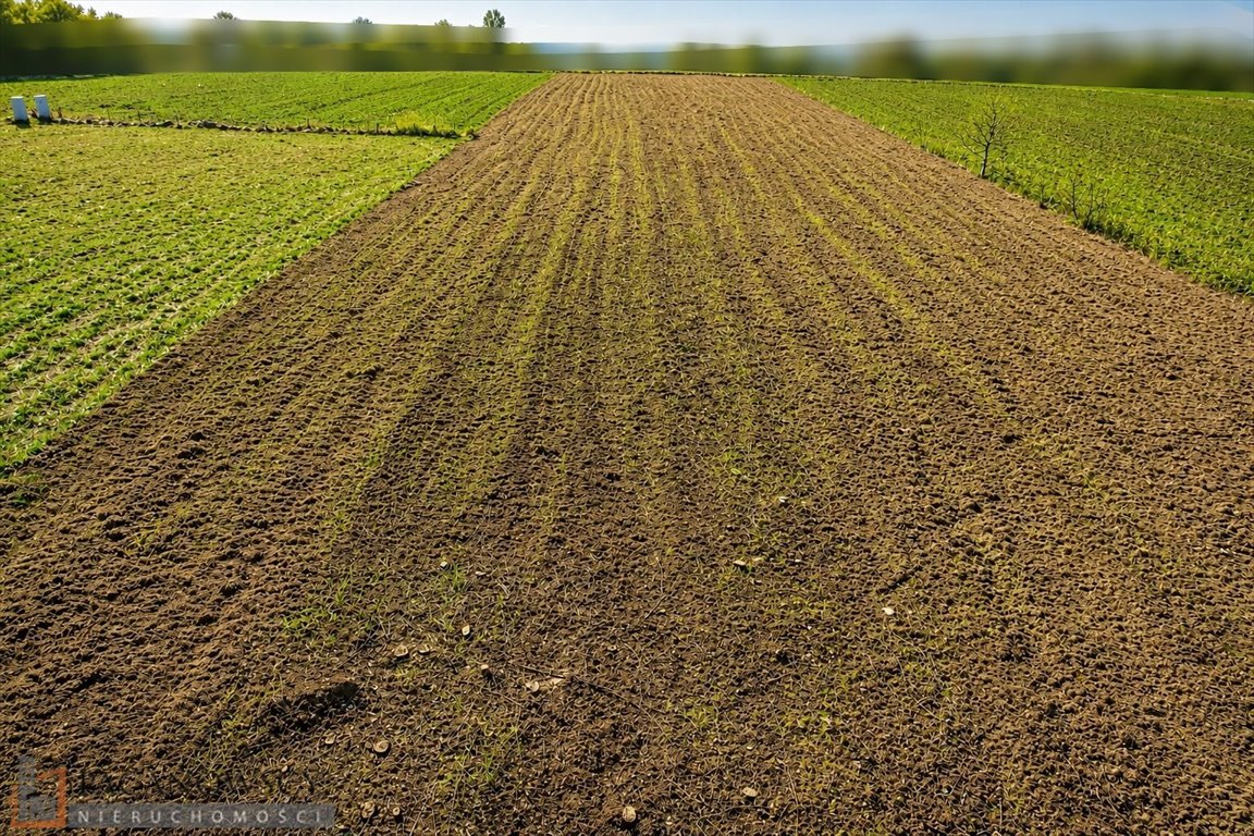 Działka budowlana 8,06 ara z dostępem do mediów, spokojna okolica Kraków, Prądnik Biały, Tonie  806m2 Foto 1