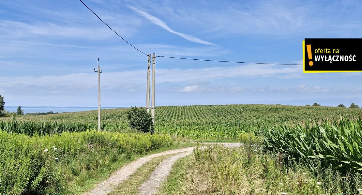 Działka rolna na sprzedaż Łęcze  66 300m2 Foto 9