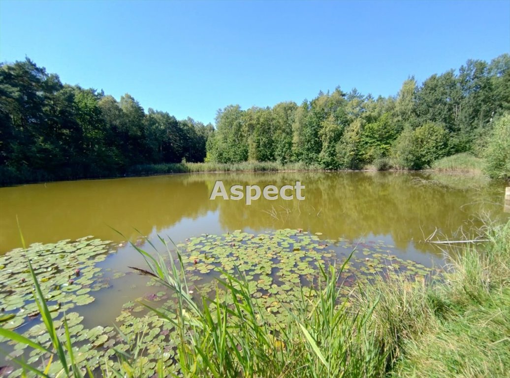 Działka rekreacyjna na sprzedaż Rybnik  4 950m2 Foto 1