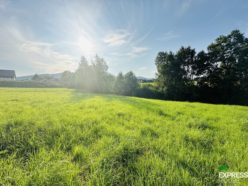 Działka budowlana na sprzedaż Lipowa, Promienna  1 750m2 Foto 4