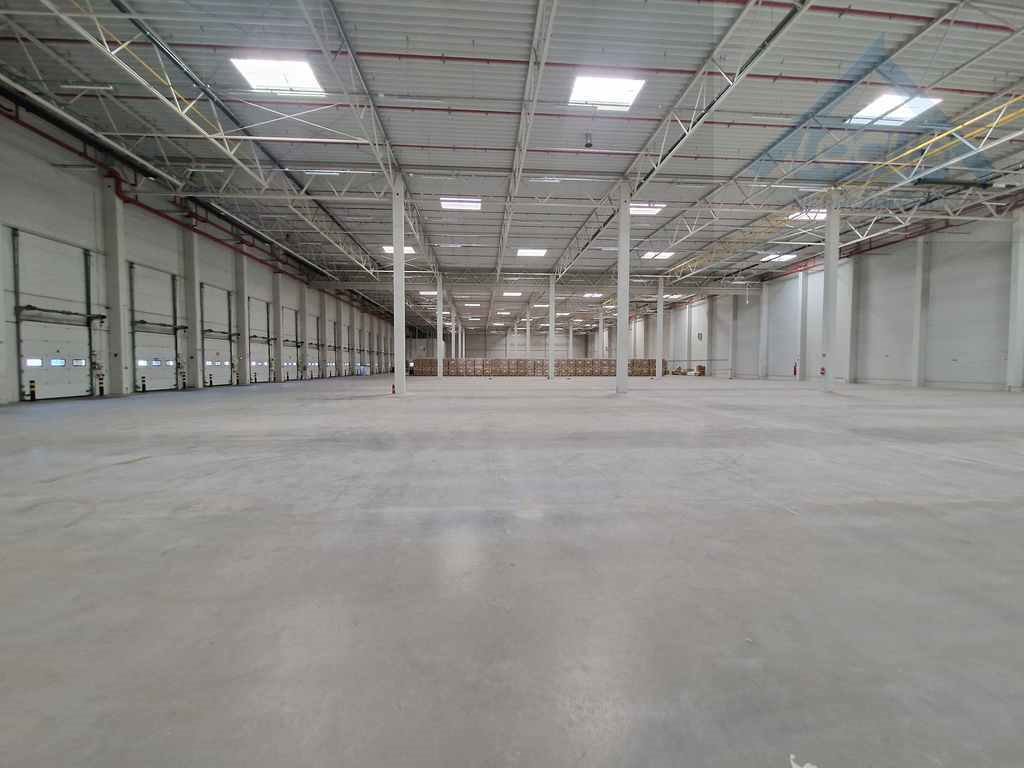 Magazyn na wynajem Ołtarzew  2 500m2 Foto 11