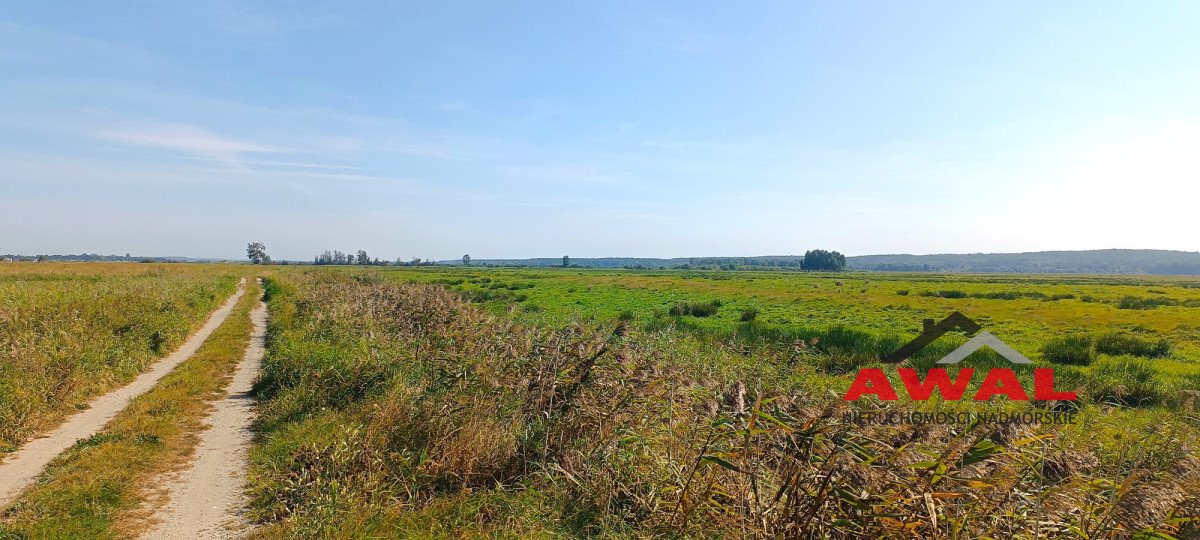 Działka gospodarstwo rolne na sprzedaż Karwieńskie Błoto Drugie  4 800m2 Foto 7