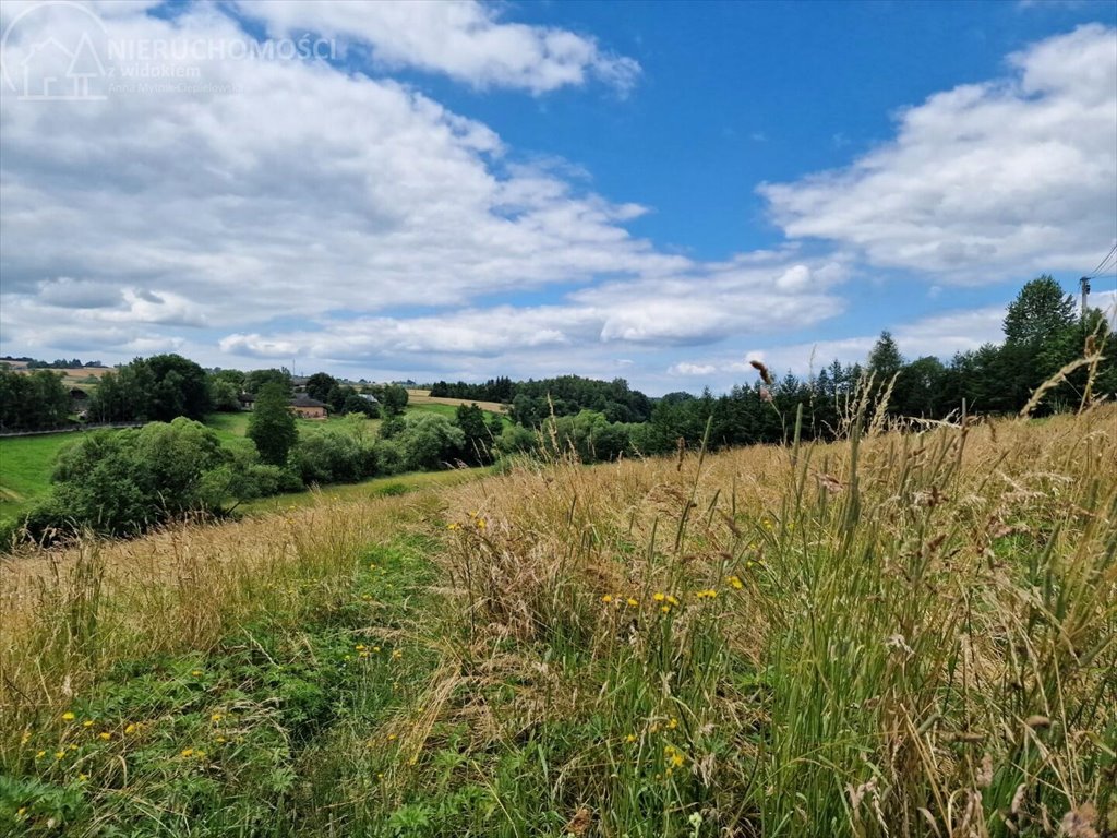 Działka budowlana na sprzedaż Sitnica  10 602m2 Foto 4