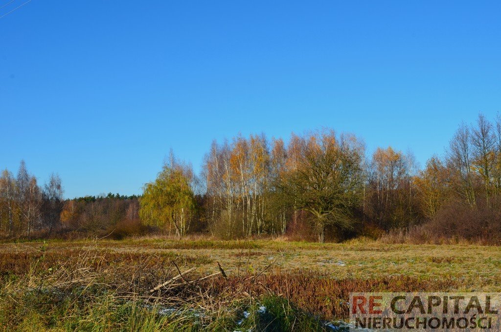 Działka budowlana na sprzedaż Janów  802m2 Foto 8