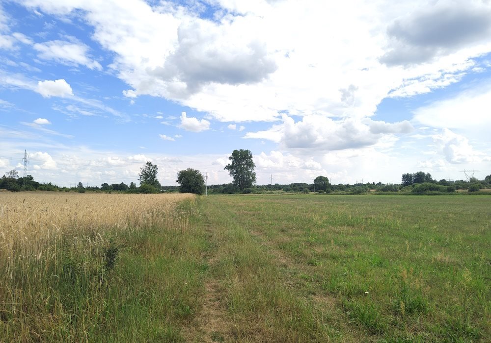 Działka rekreacyjna na sprzedaż Dąbrówka Zabłotnia  3 000m2 Foto 5