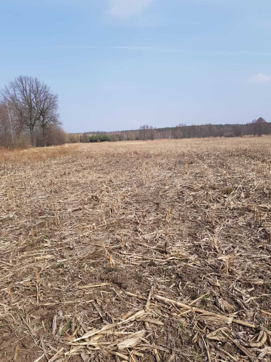 Działka rolna 3 ha z lasem i dużym nasłonecznieniem Miłocice, Miłocice  30 000m2 Foto 1