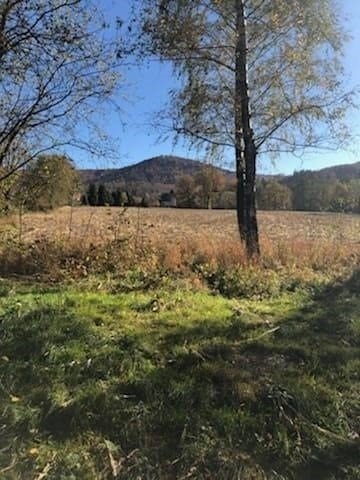 Działka z potokiem i lasem, 8529 m2, Jaworze Jaworze, Jodłowa  8 529m2 Foto 1