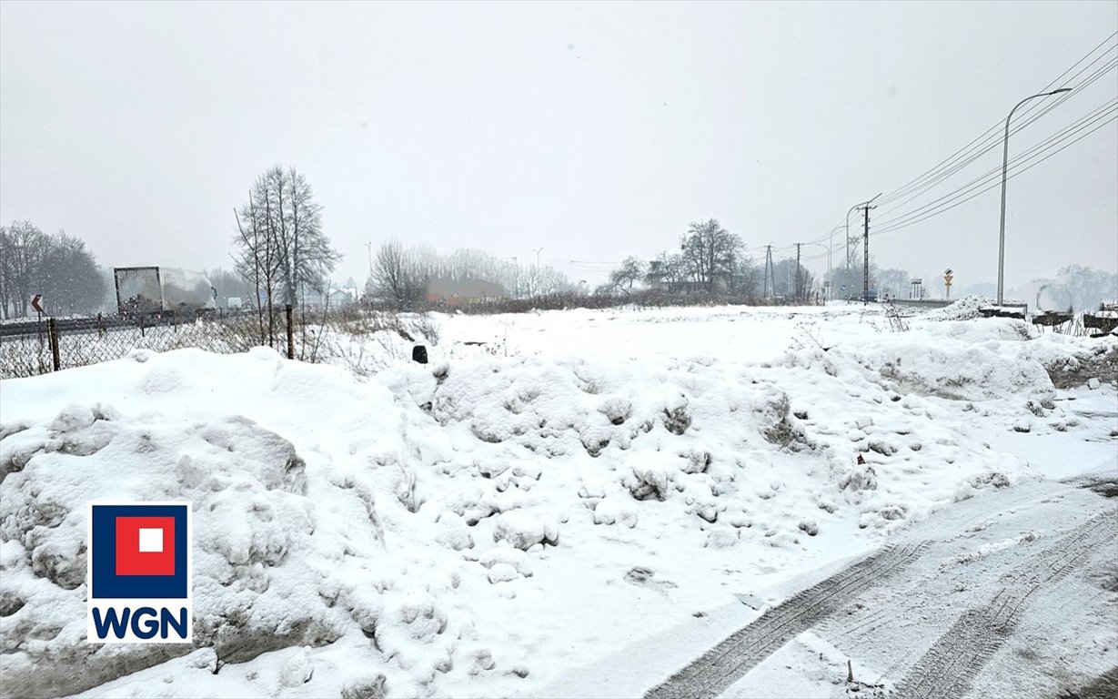 Działka inwestycyjna na sprzedaż Pawłowice  2 529m2 Foto 4