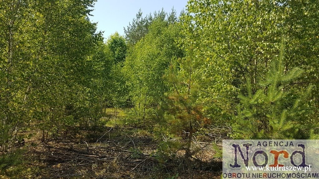 Działka 1171 m² w cichej okolicy z dostępem do prądu Płaska  1 171m2 Foto 1
