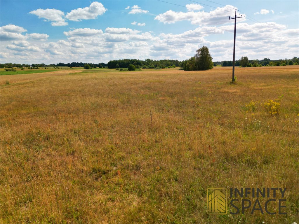 Działka siedliskowa na sprzedaż Ojrzanów-Towarzystwo  25 000m2 Foto 2