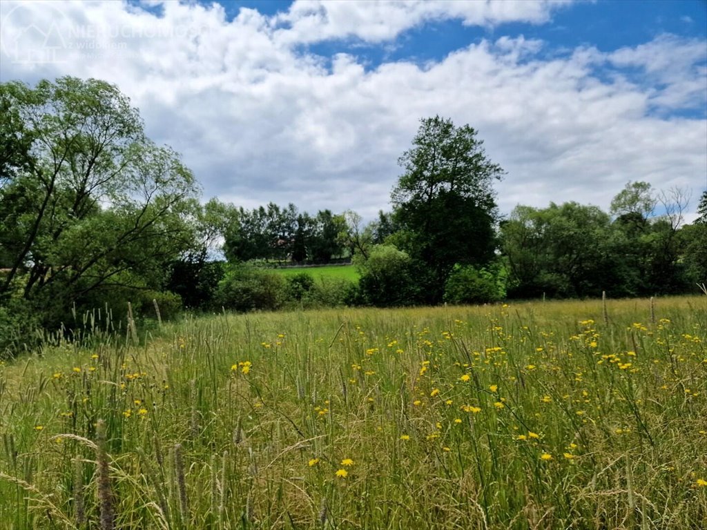 Działka budowlana na sprzedaż Sitnica  10 602m2 Foto 11