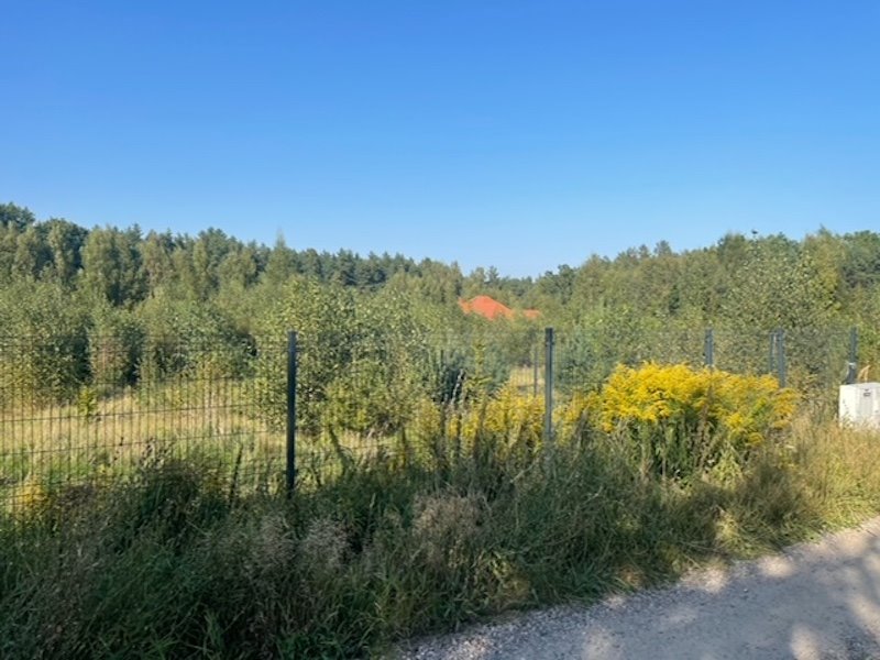 Działka budowlana na sprzedaż Czapielsk, wiesiołka  1 817m2 Foto 1