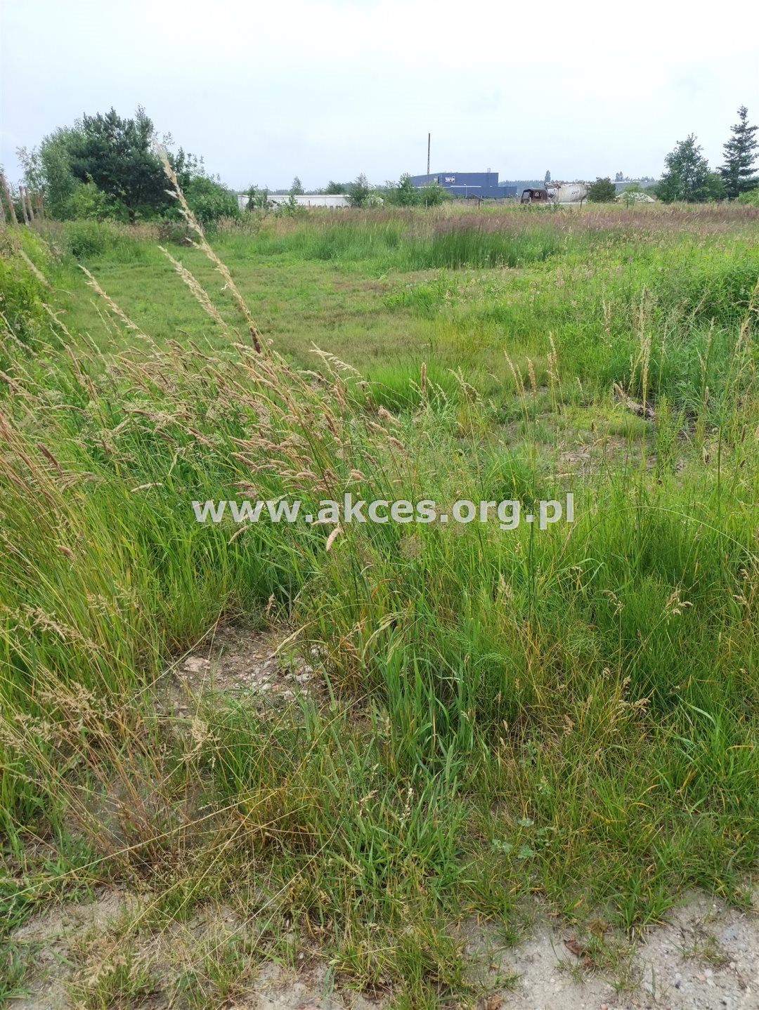 Działka budowlana na sprzedaż Kajetany  1 820m2 Foto 2