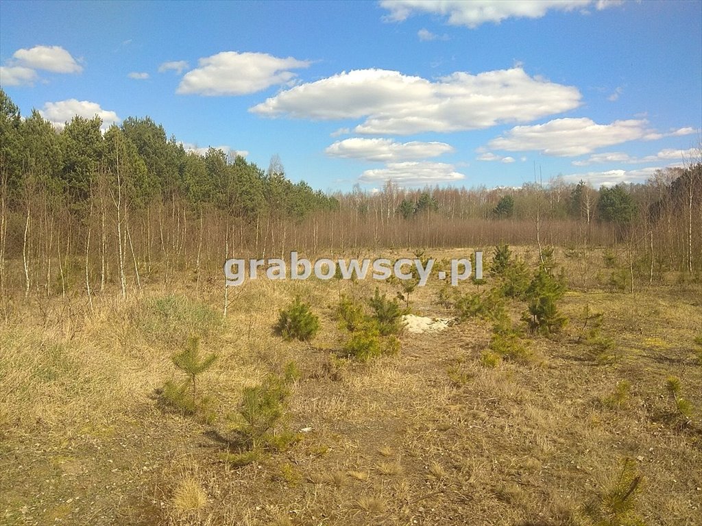 Działka budowlana na sprzedaż Zwierki  800m2 Foto 8