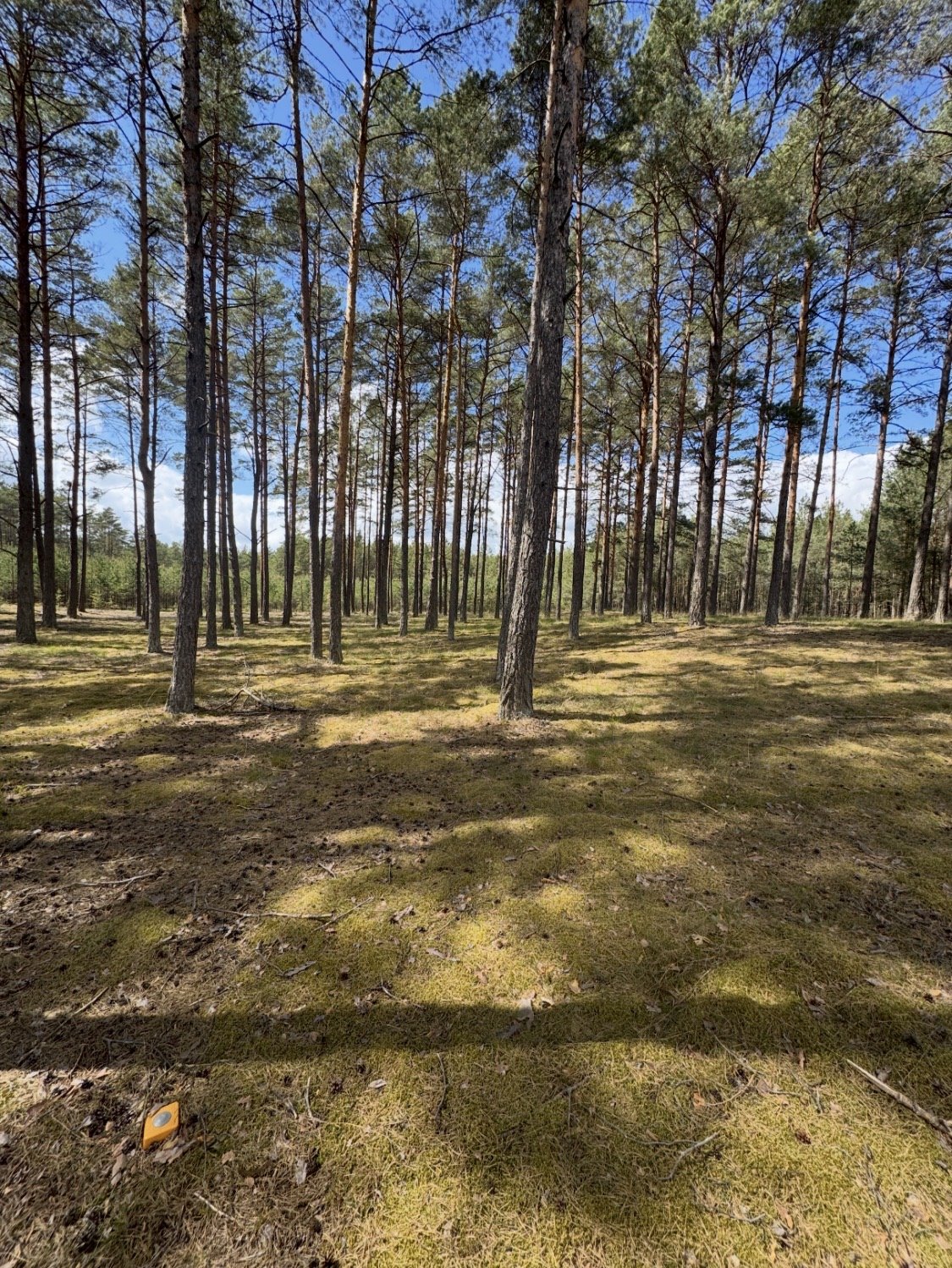 Sprzedam działkę 3000 m² w Borach Tucholskich z mediami i dostępem do jezior Konarzyny, Konarzyny  3 000m2 Foto 1