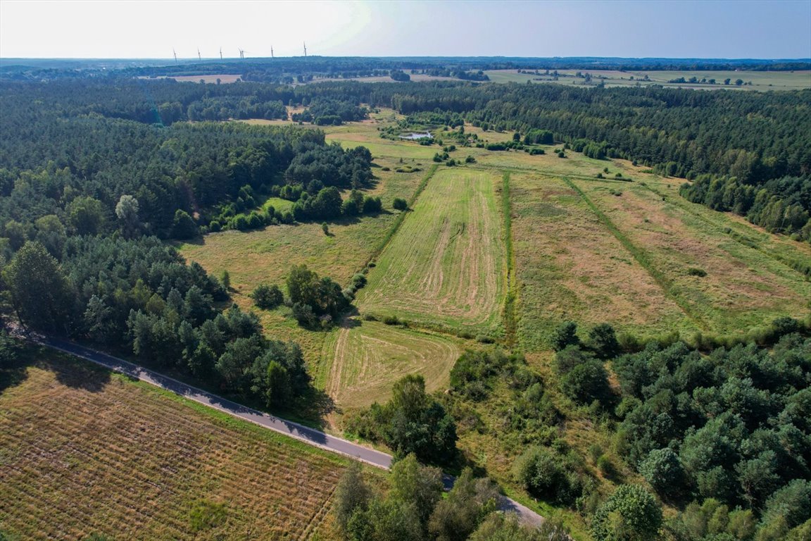 Działka budowlana na sprzedaż Lękwica  3 700m2 Foto 3