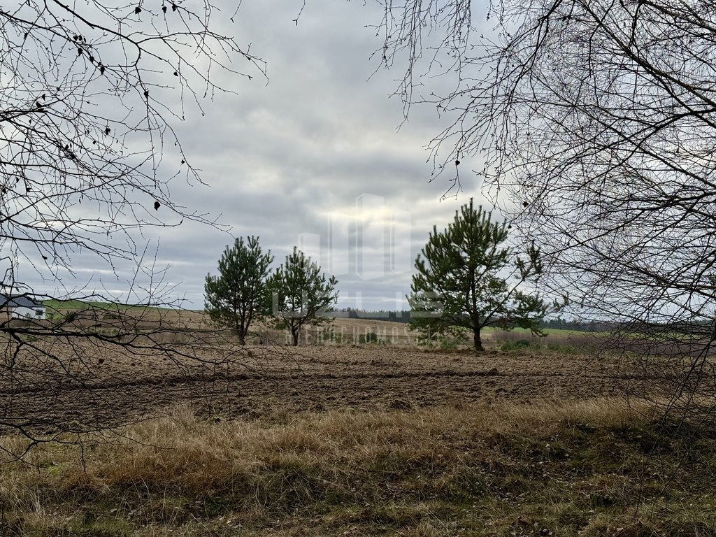 Działka inna na sprzedaż Przytarnia  1 570m2 Foto 13