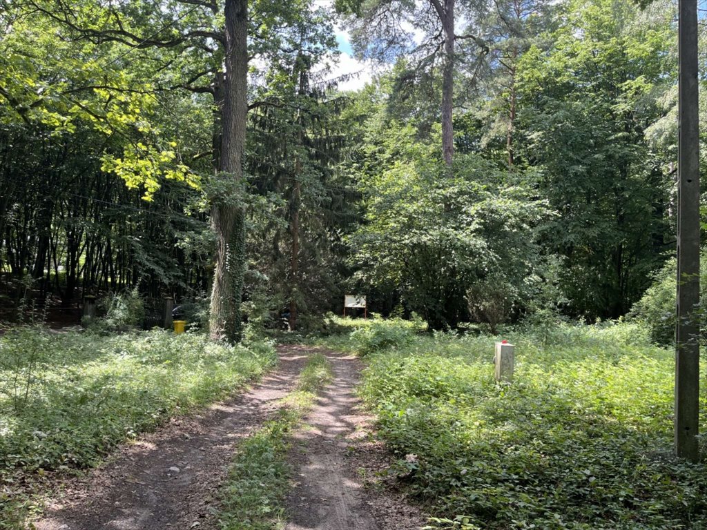 Działka budowlana na sprzedaż Piaseczno  4 000m2 Foto 6