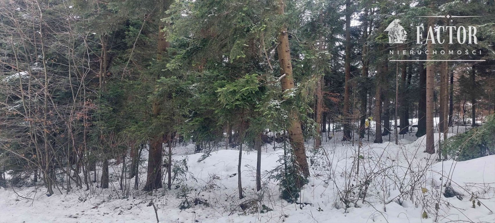 Widokowa działka 60 arów z mediami, graniczy z potokiem Biała Niżna  6 000m2 Foto 1