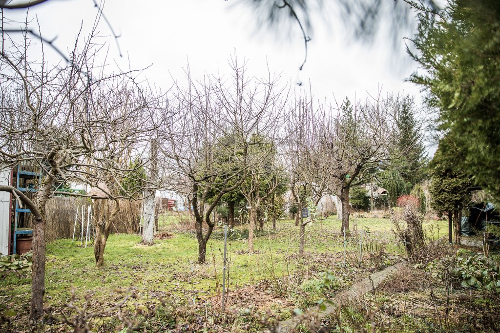Dom na sprzedaż Dębno, Józefa Mireckiego  100m2 Foto 18