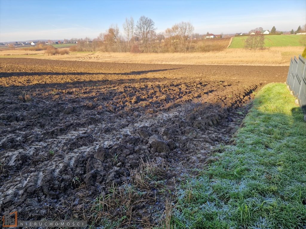 Działka budowlana na sprzedaż Wilków  600m2 Foto 7