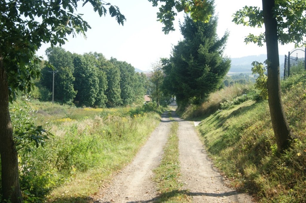 Działka inna na sprzedaż Stare Bogaczowice  1 000m2 Foto 11