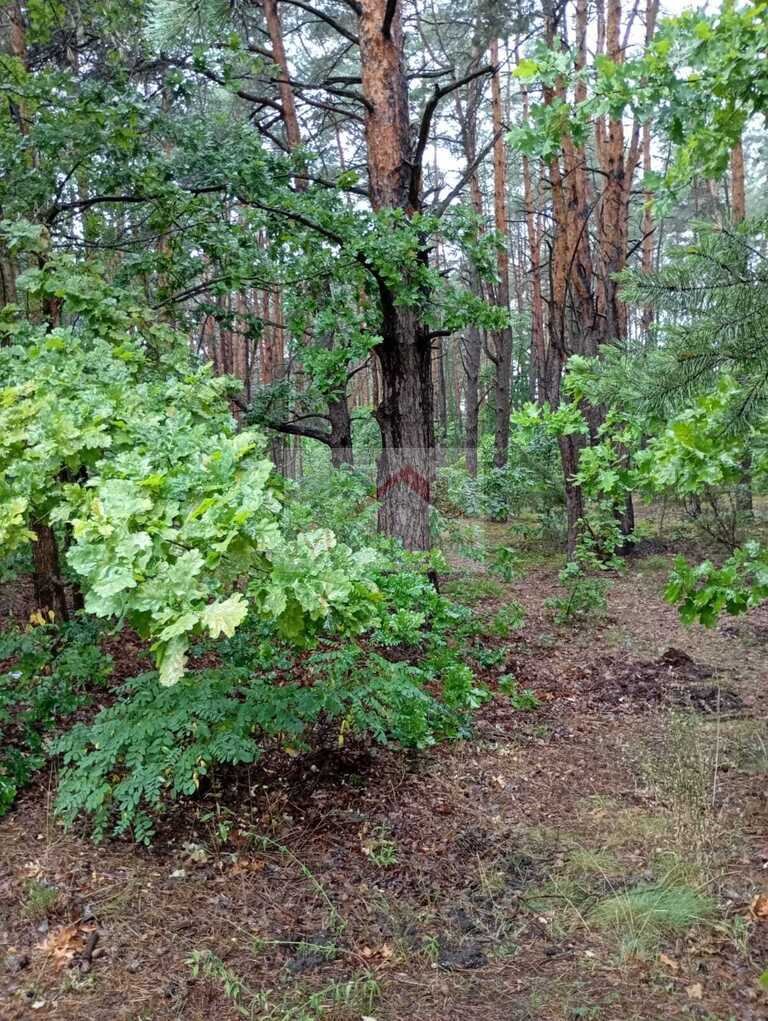 Działka leśna w Otwocku z możliwością podziału i zabudowy Otwock, Armii Krajowej  10 458m2 Foto 1