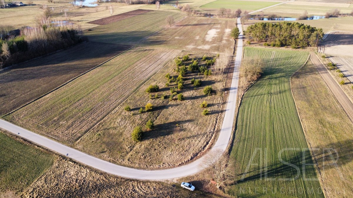 Działka budowlana na sprzedaż Grądy Szlacheckie  9 800m2 Foto 5