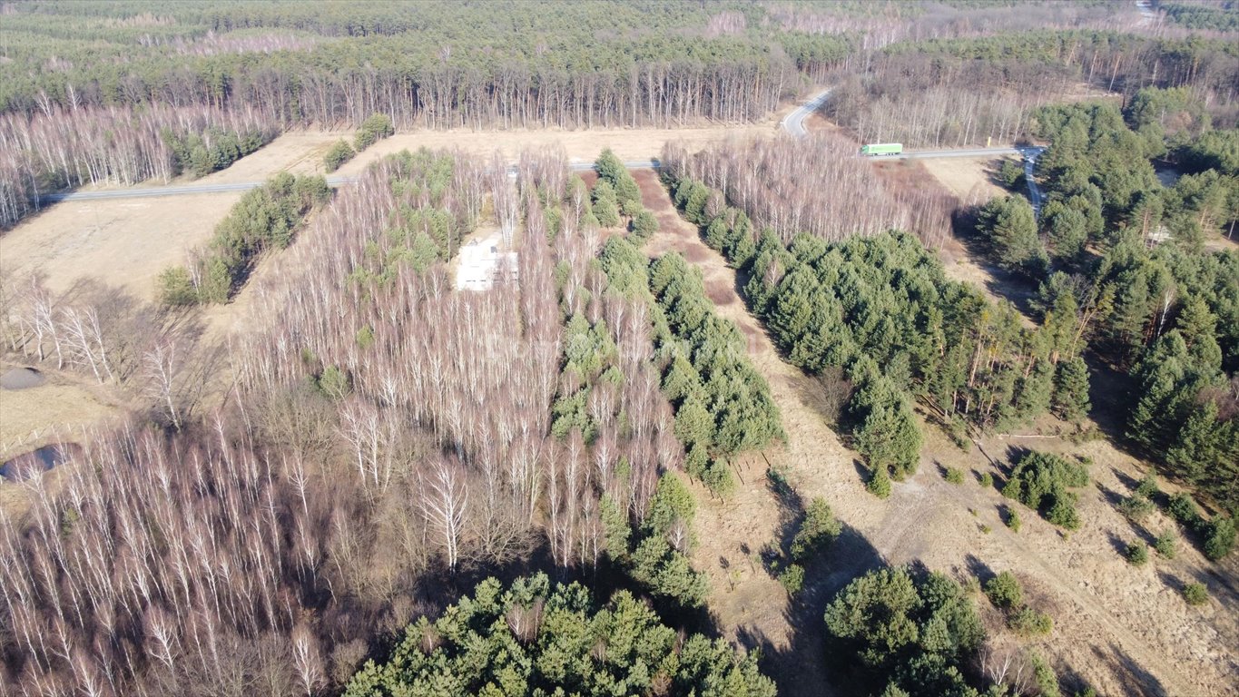 Działka budowlana na sprzedaż Rudy-Rysie  2 600m2 Foto 7