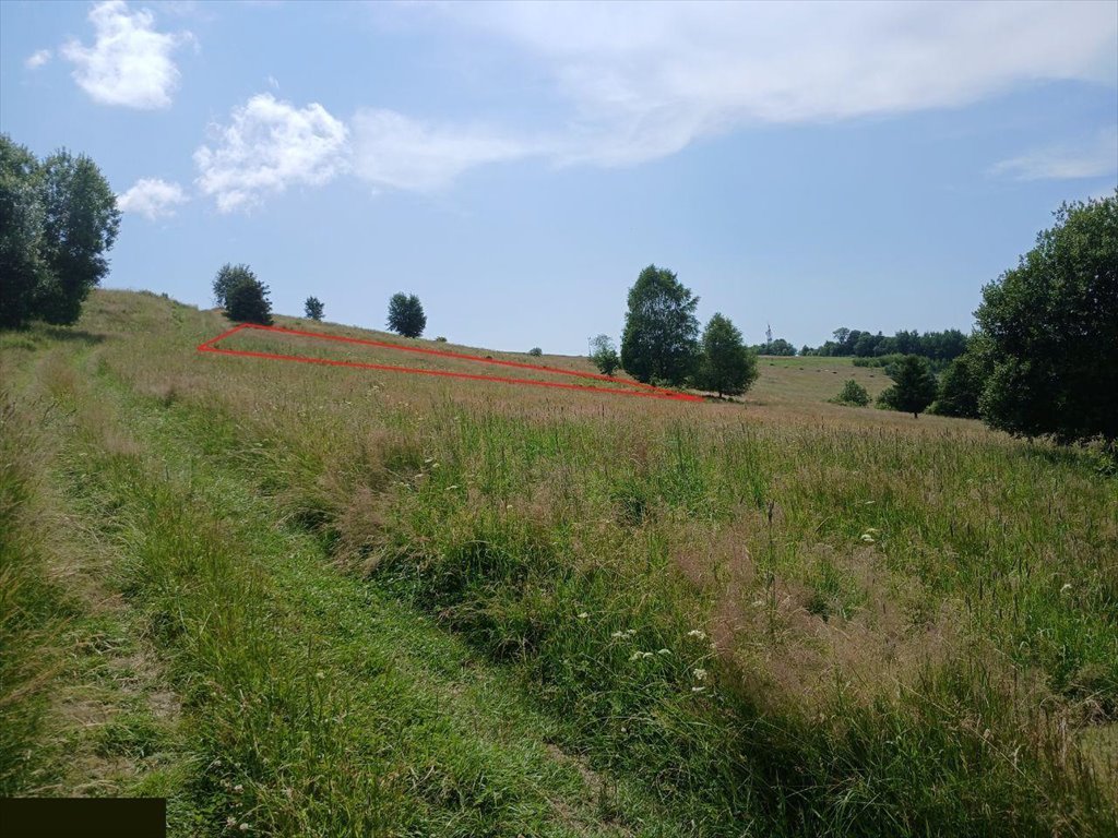 Działka inna na sprzedaż Istebna  1 700m2 Foto 4