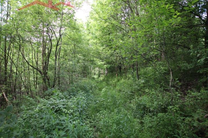 Działka siedliskowa na sprzedaż Malinówka  42 500m2 Foto 7