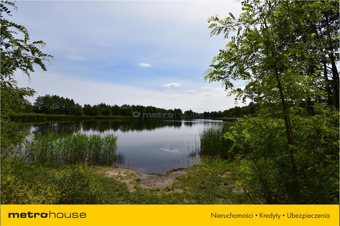 Sprzedam Dzia k Ferdynand w P czniew 1800 M2 90000 PLN Domiporta pl sprzedam-dzia-k-ferdynand-w-p-czniew-1800-m2-90000-pln-domiporta-pl