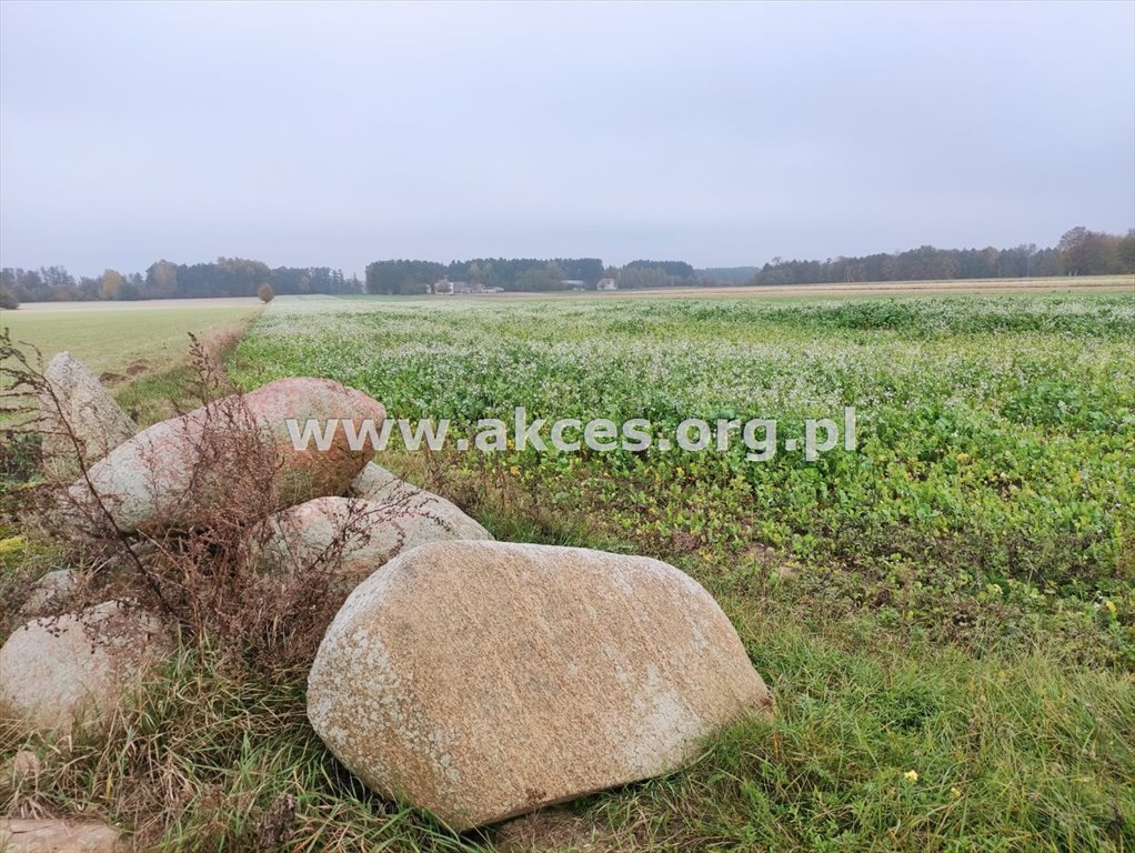 Działka rekreacyjna na sprzedaż Szumlin  3 817m2 Foto 3