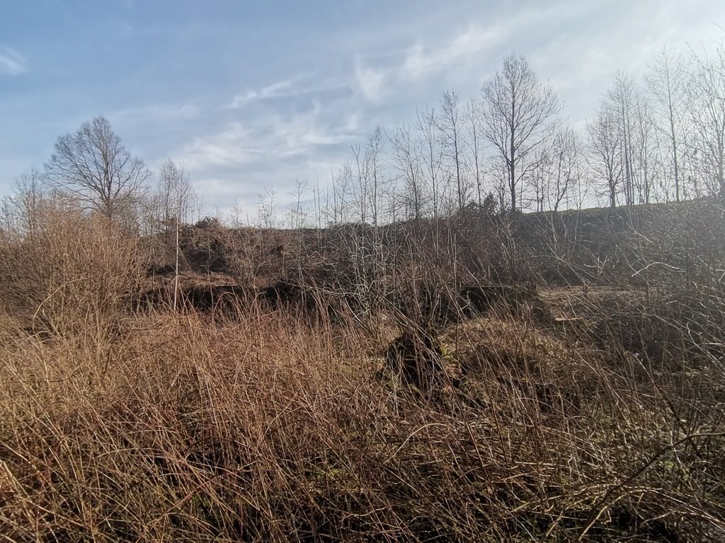 Działka inna na sprzedaż Bogatynia, Markocice  1 891m2 Foto 10