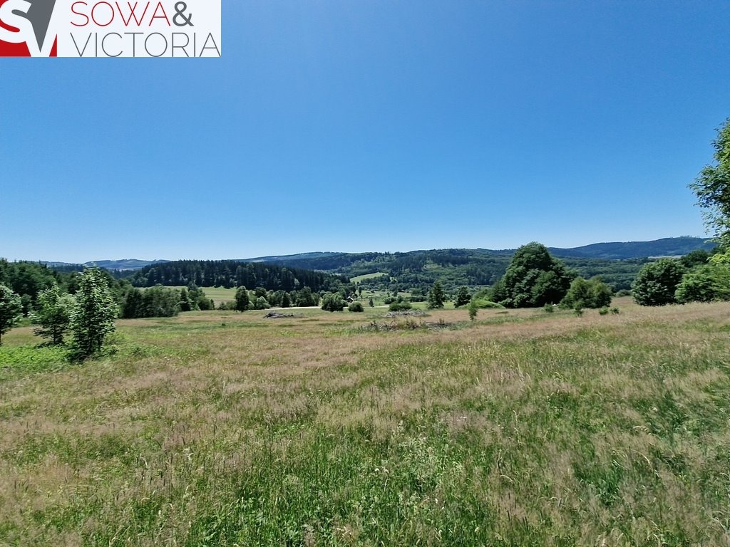 Malownicza działka 3000 m² w sercu Gór Sowich, cisza i natura Sierpnica  3 000m2 Foto 1