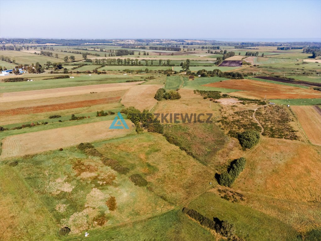 Działka rolna na sprzedaż Reda, Rolnicza  15 800m2 Foto 5