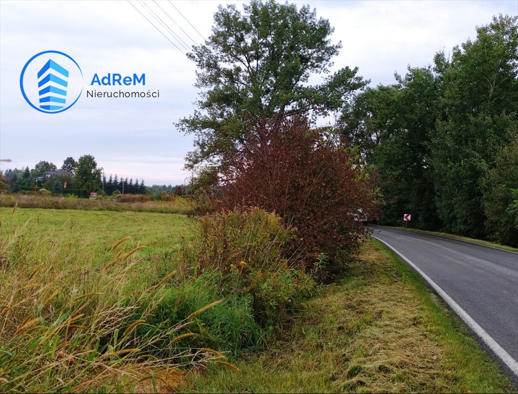 Działka budowlana na sprzedaż Stefanowo  1 000m2 Foto 4