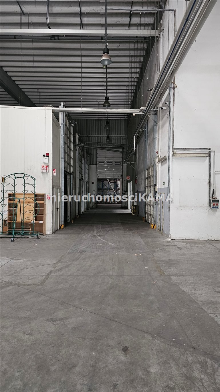 Magazyn na wynajem Czechowice-Dziedzice  2 200m2 Foto 4